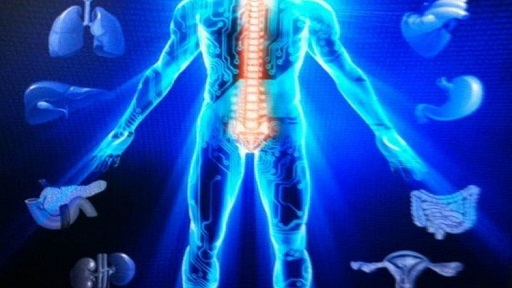 Our Healing System