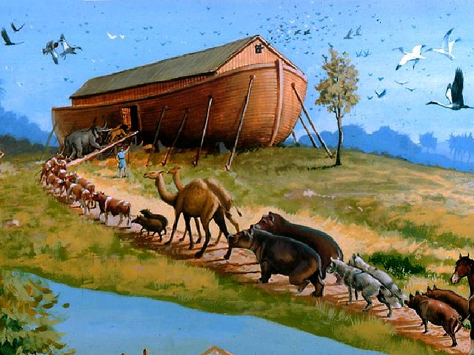 Biblical Distinctions Between Clean and Unclean Meat